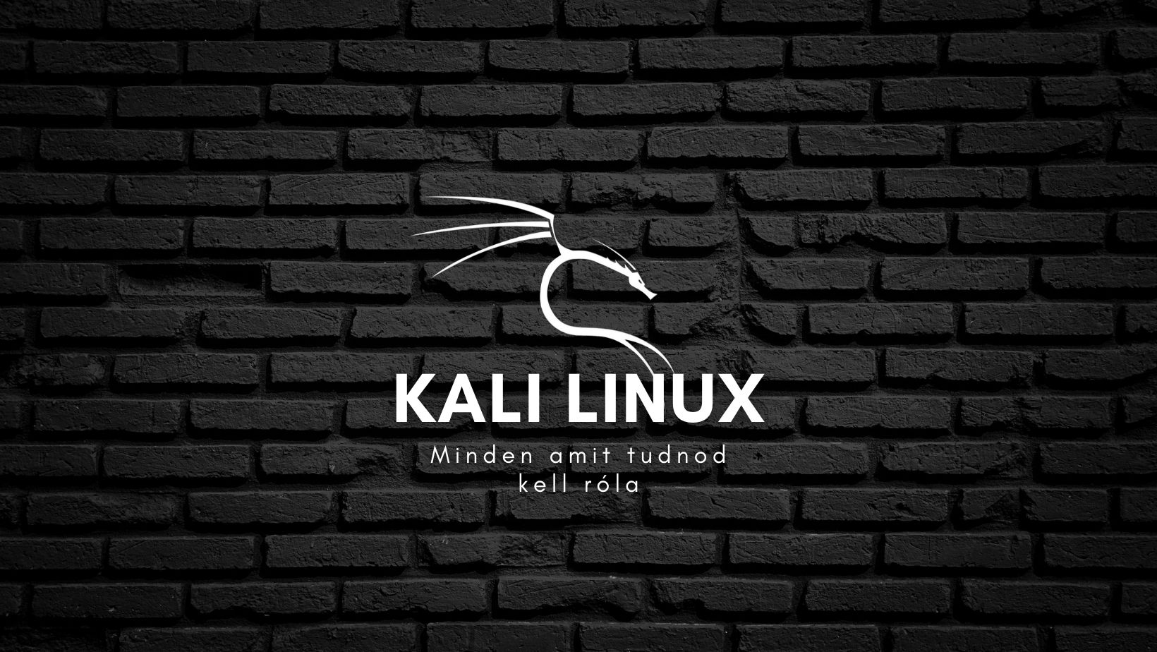 Kali Linux - Minden, amit tudnod kell róla